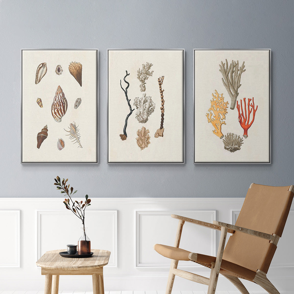 Knorr Shells & Coral IV - Framed Premium Gallery Wrapped Canvas L Frame 3 Piece Set - Ready to Hang