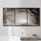 Three-panel canvas wall art featuring tree lined plantation road, displayed in a bathroom above a bathtub.