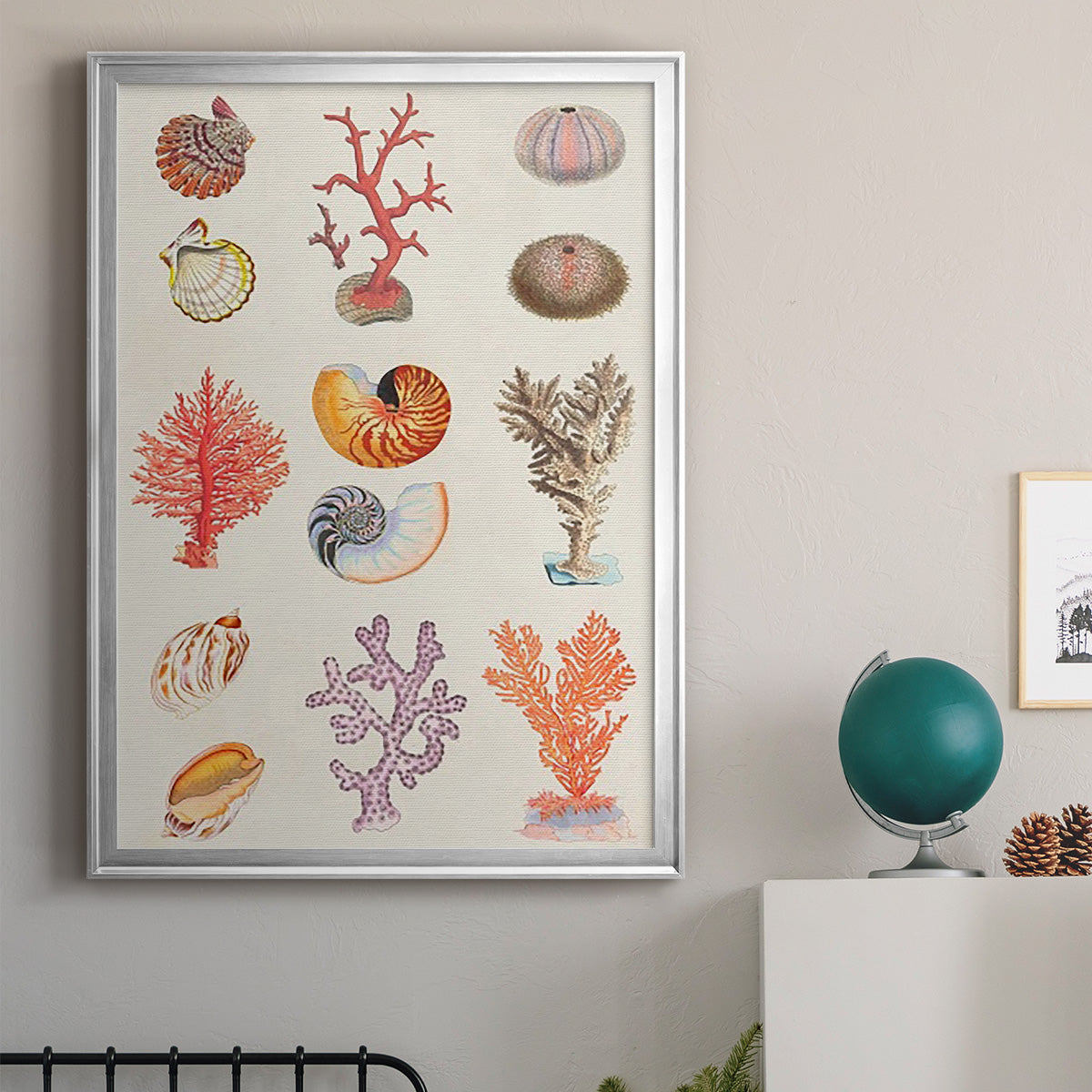 Coral & Shell Collage I -  Framed Canvas Print