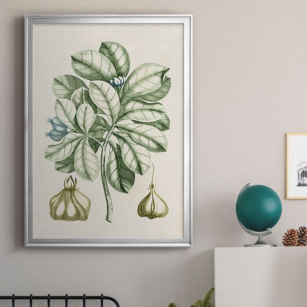 Buchoz Tropicals IX - Modern Framed Canvas Print