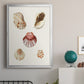 Pastel Knorr Shells V - Modern Framed Canvas Print