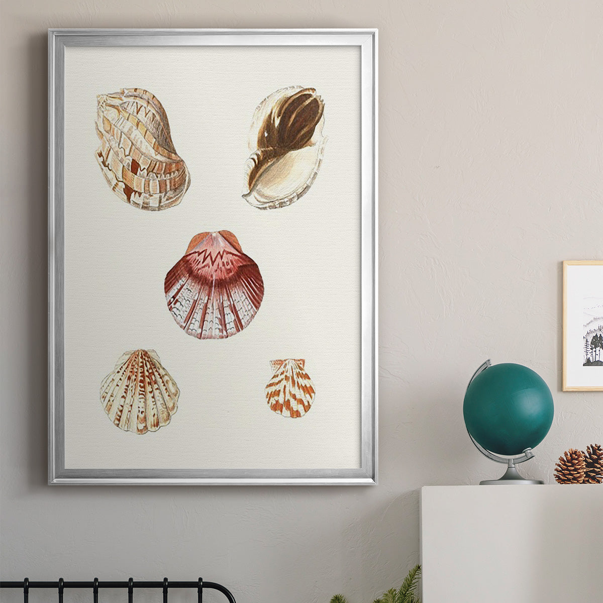 Pastel Knorr Shells V - Modern Framed Canvas Print