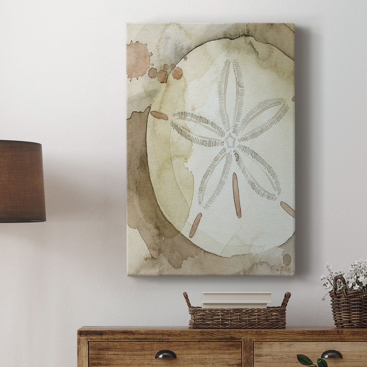 Dry Sand Dollar II Premium Gallery Wrapped Canvas - Ready to Hang