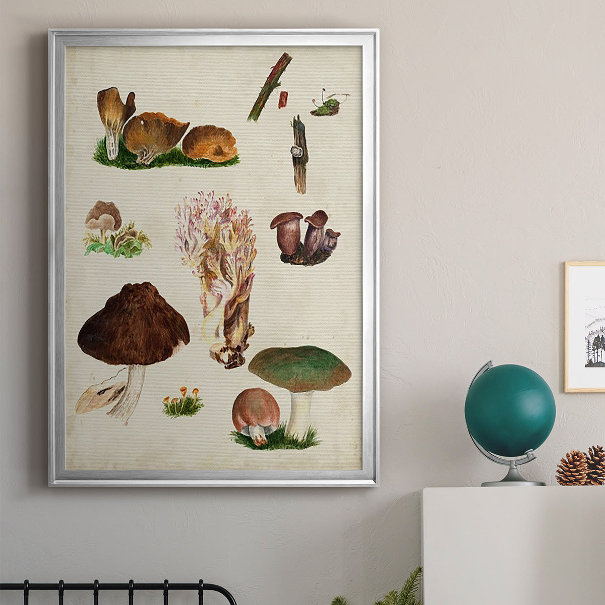 Mushroom Species IX - Modern Framed Canvas Print