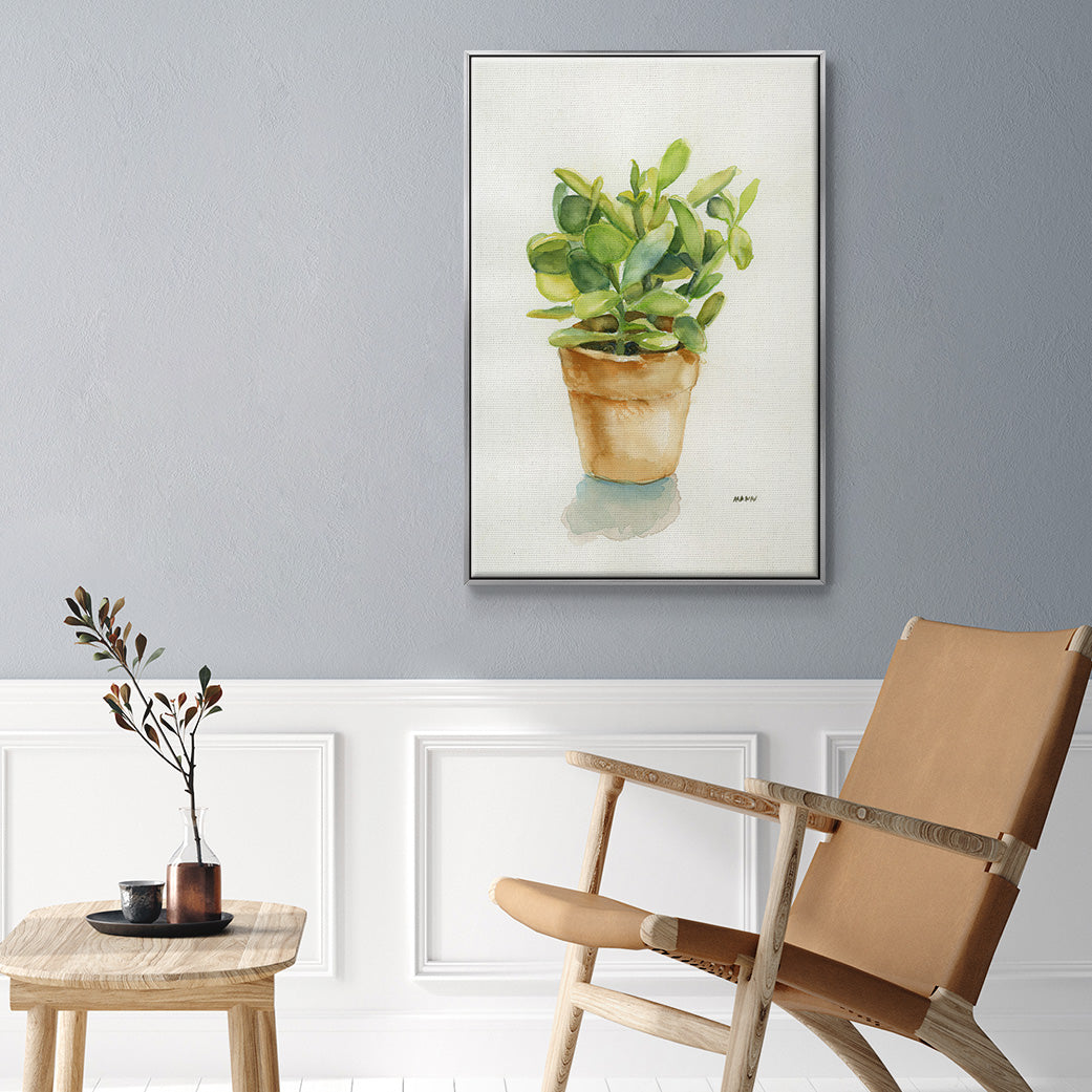 Succulent I -  Framed Canvas Print