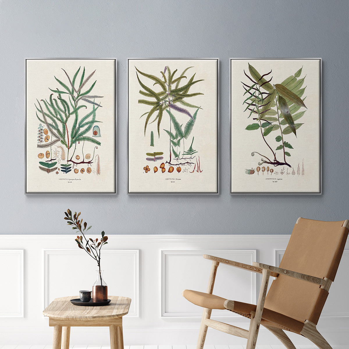 Botanical Society Ferns VI - Framed Premium Gallery Wrapped Canvas L Frame 3 Piece Set - Ready to Hang