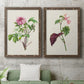 Pretty Pink Botanicals V - Premium Framed Canvas 2 Piece Set - Ready to Hang