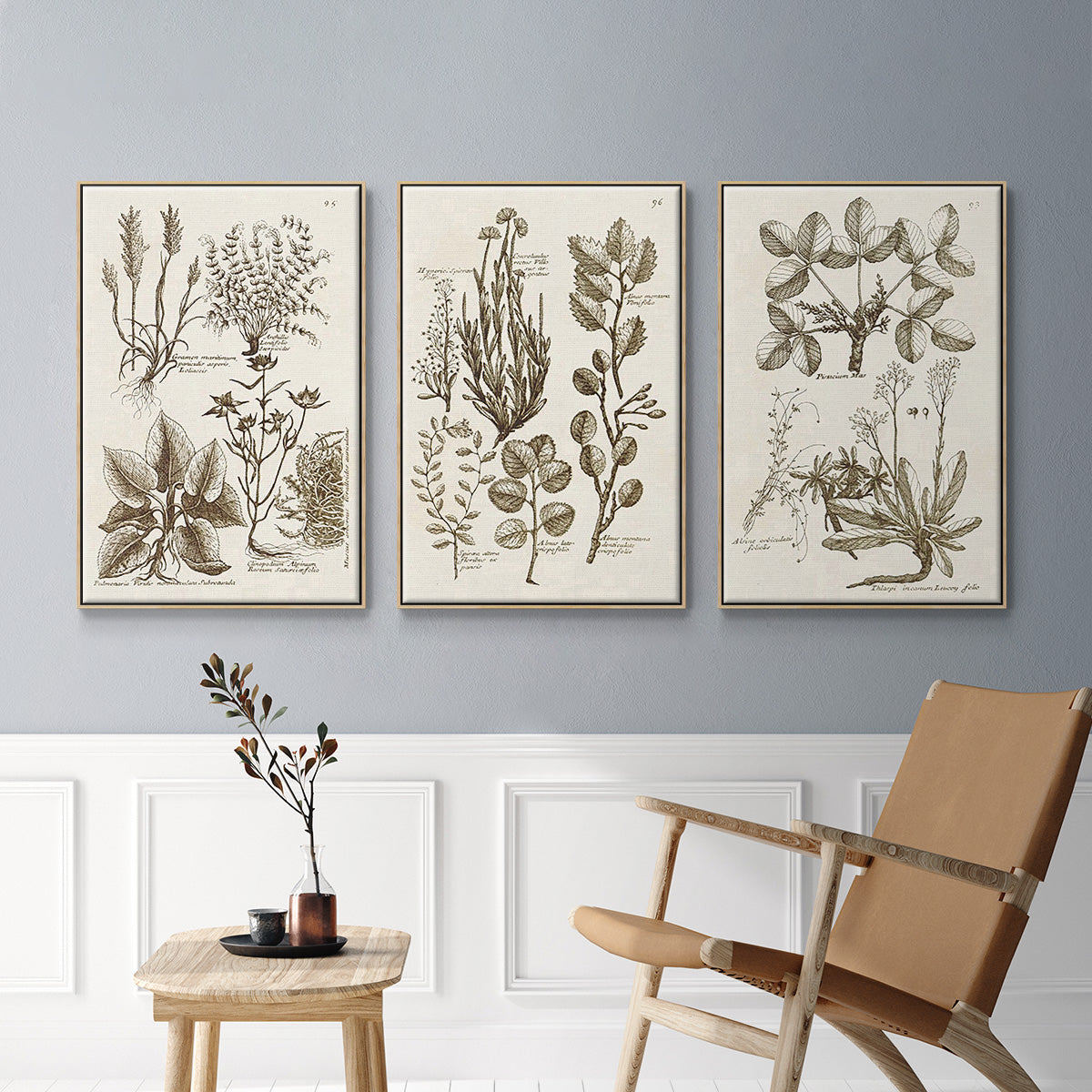 Sepia Botanical Journal VI - Framed Premium Gallery Wrapped Canvas L Frame 3 Piece Set - Ready to Hang