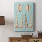 Sepia & Aqua Shells VI - Canvas Art Print