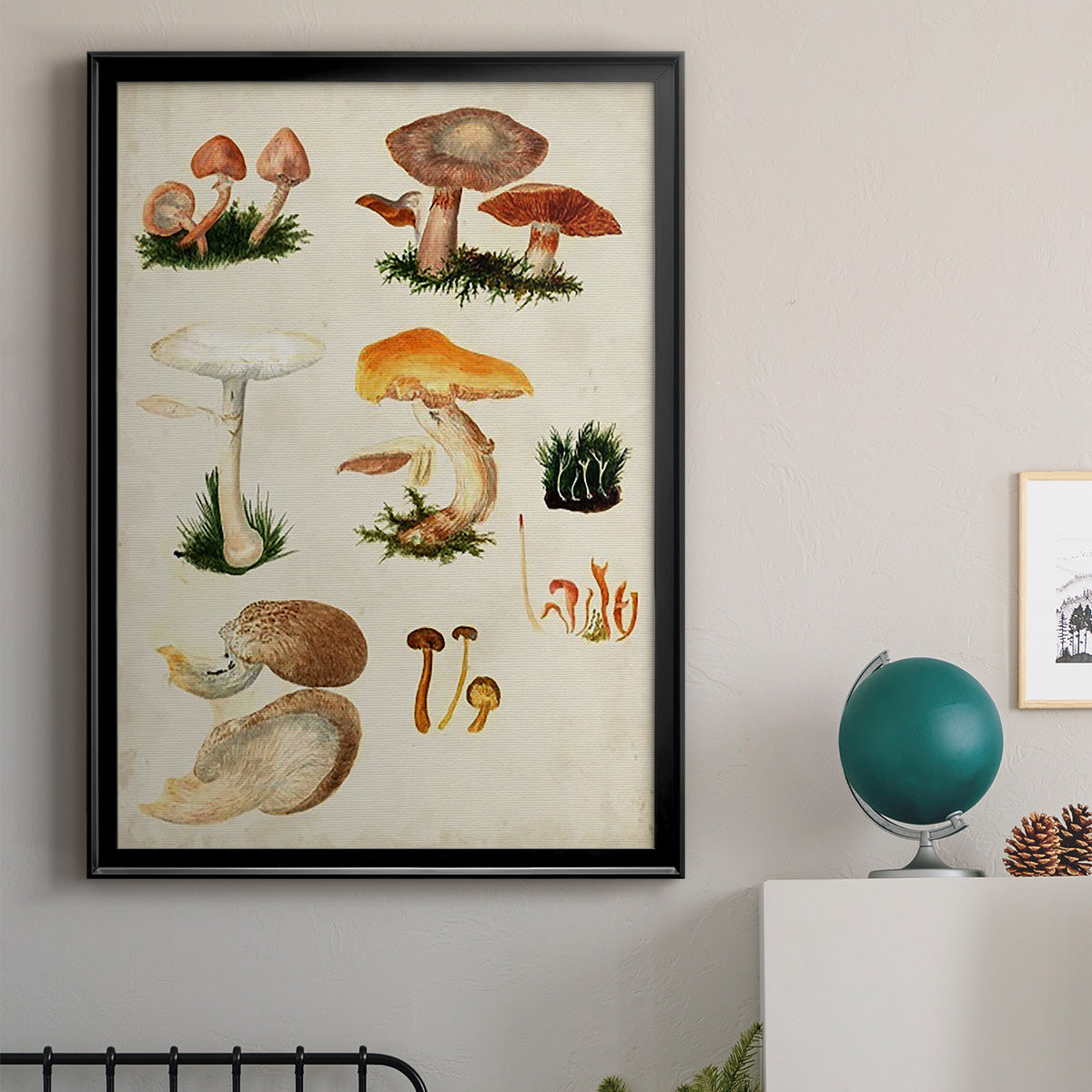 Mushroom Species IV - Modern Framed Canvas Print