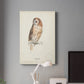 Tawny Owl Premium Gallery Wrapped Canvas - Ready to Hang