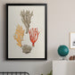 Knorr Shells & Coral IV - Modern Framed Canvas Print