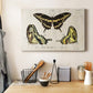 Crackled Butterflies I Premium Gallery Wrapped Canvas - Ready to Hang