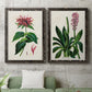 Set of two black barnwood framed canvas prints depicting a coordinated art pair of colorful flowering plant specimens rendered as antique botanical plate illustrations above a sofa in a modern living room.