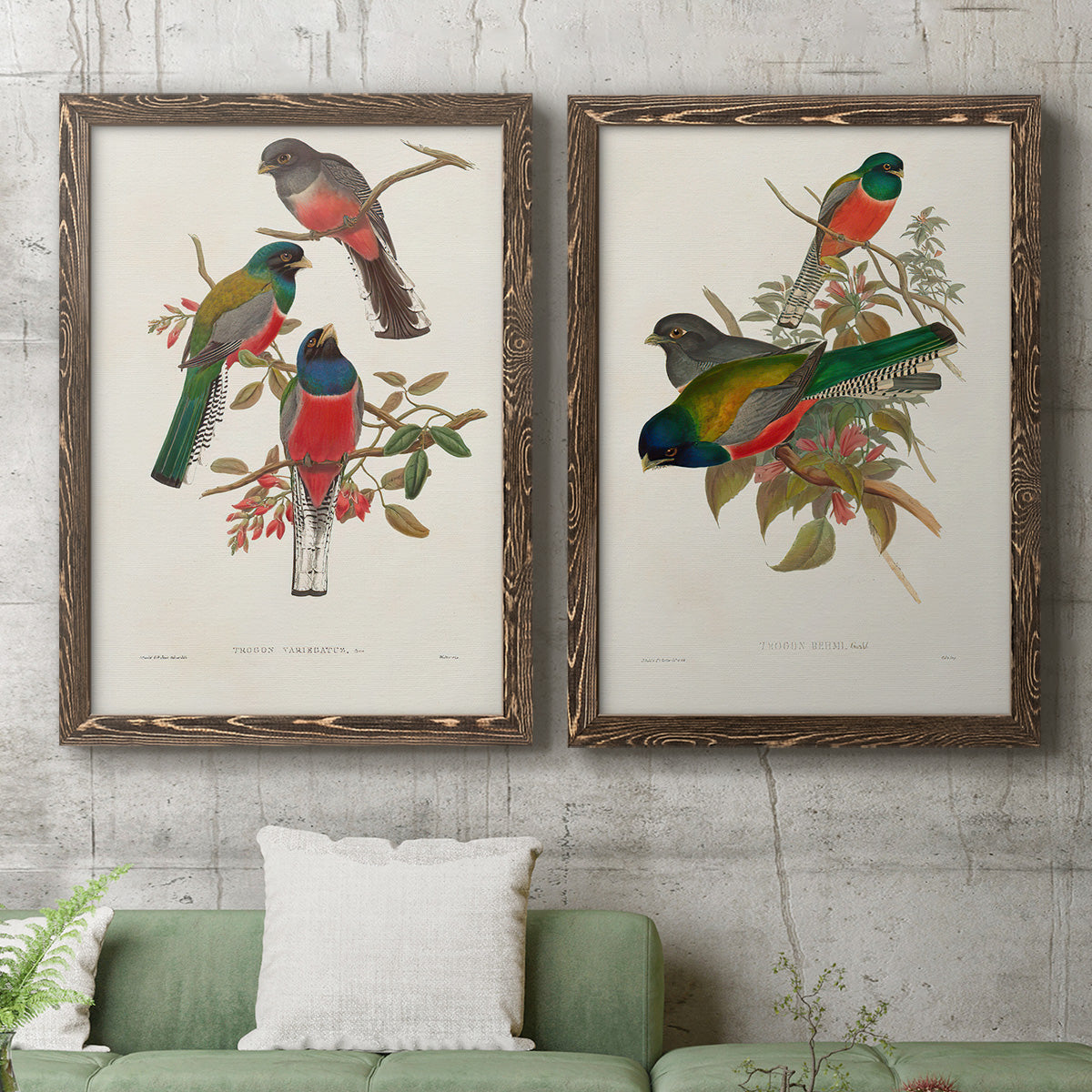 Elegant Trogons IX - Premium Framed Canvas 2 Piece Set - Ready to Hang