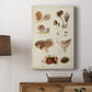 Mushroom Species III - Canvas Art Print