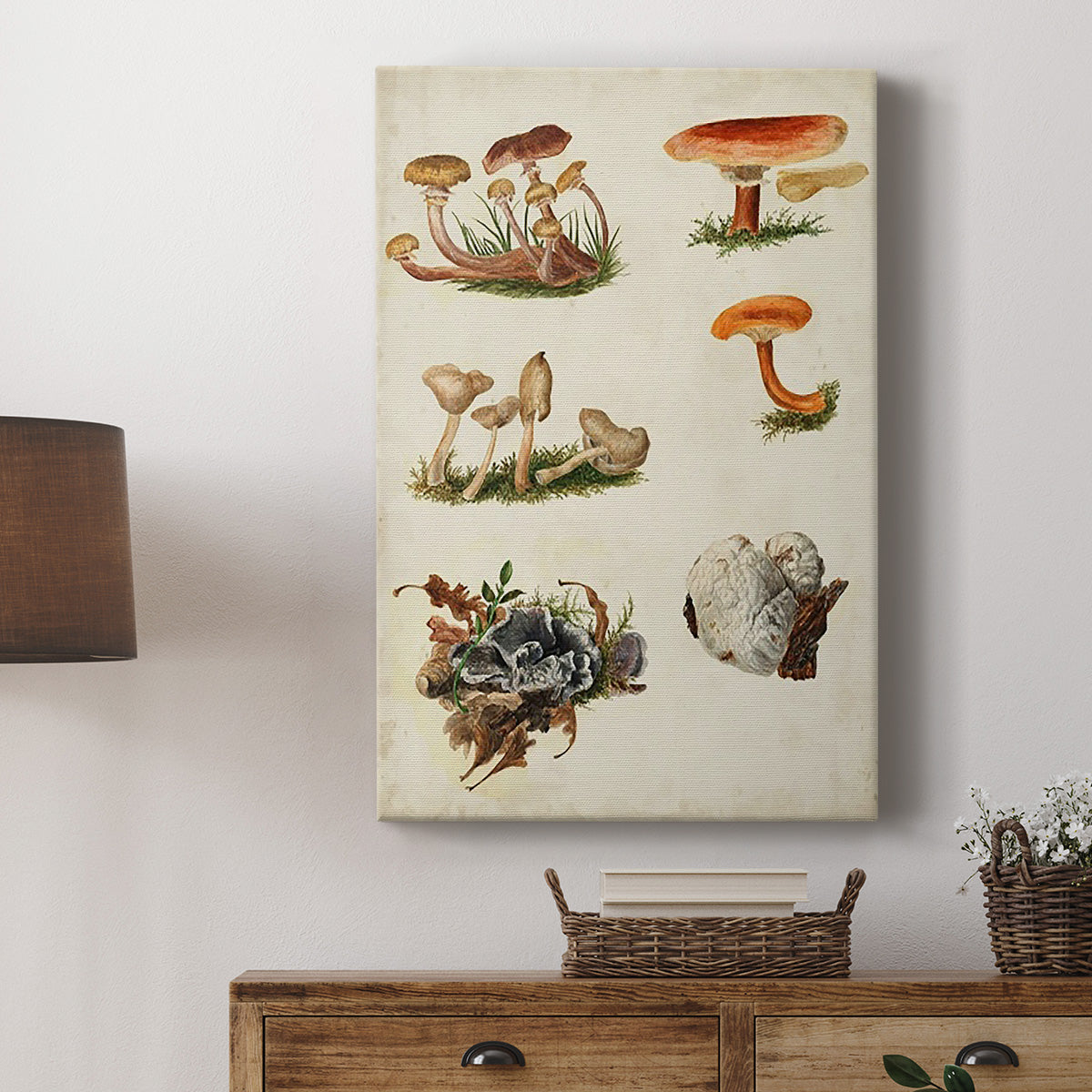 Mushroom Species X - Canvas Art Print