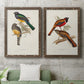 Elegant Trogons III - Premium Framed Canvas 2 Piece Set - Ready to Hang