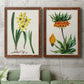 Set of two maple barnwood framed canvas prints depicting a coordinated art pair of colorful flowering plant specimens rendered as antique botanical plate illustrations above a sofa in a modern living room.