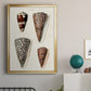 Cone Shell Collection I - Modern Framed Canvas Print
