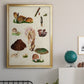 Mushroom Species IX - Modern Framed Canvas Print