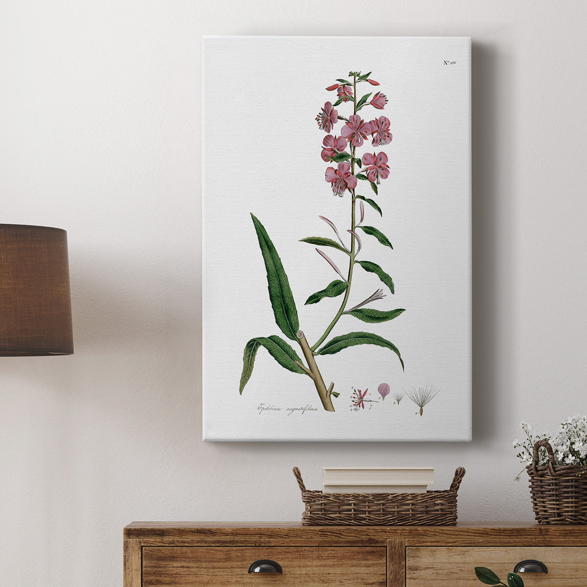 Rose Botanical I - Canvas Art Print