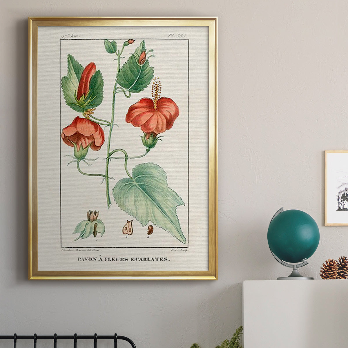 Turpin Tropical Botanicals IV - Modern Framed Canvas Print