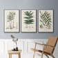 Botanical Society Ferns X - Framed Premium Gallery Wrapped Canvas L Frame 3 Piece Set - Ready to Hang