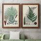 Set of two maple barnwood framed canvas prints depicting a coordinated art pair of vintage fern specimens with botanical details rendered as natural-history fern plates above a sofa in a modern living room.