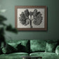 Blossfeldt Botanical VIII Premium Framed Canvas- Ready to Hang