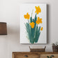 Daffodil Bunch II - Canvas Art Print