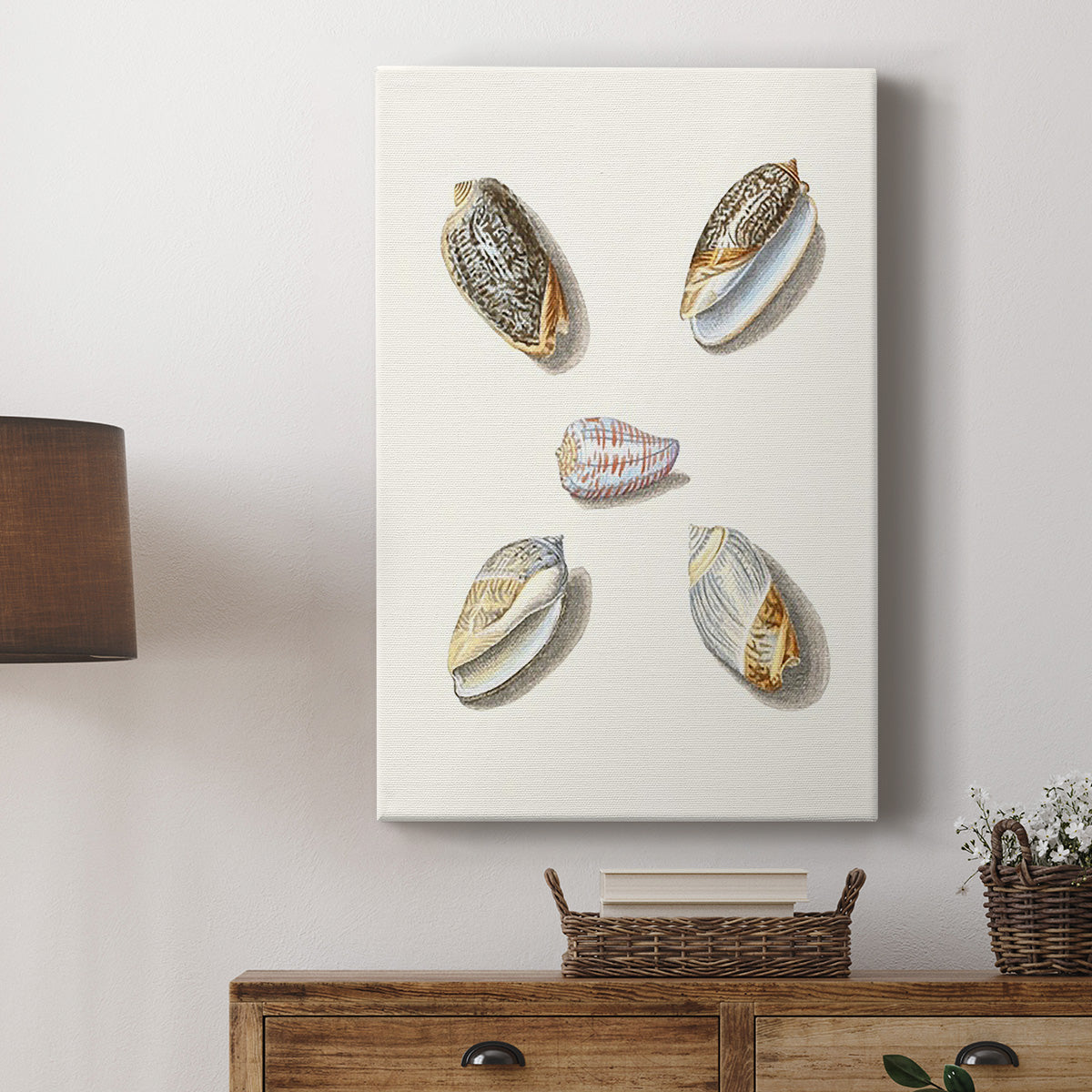 Pastel Knorr Shells III - Canvas Art Print