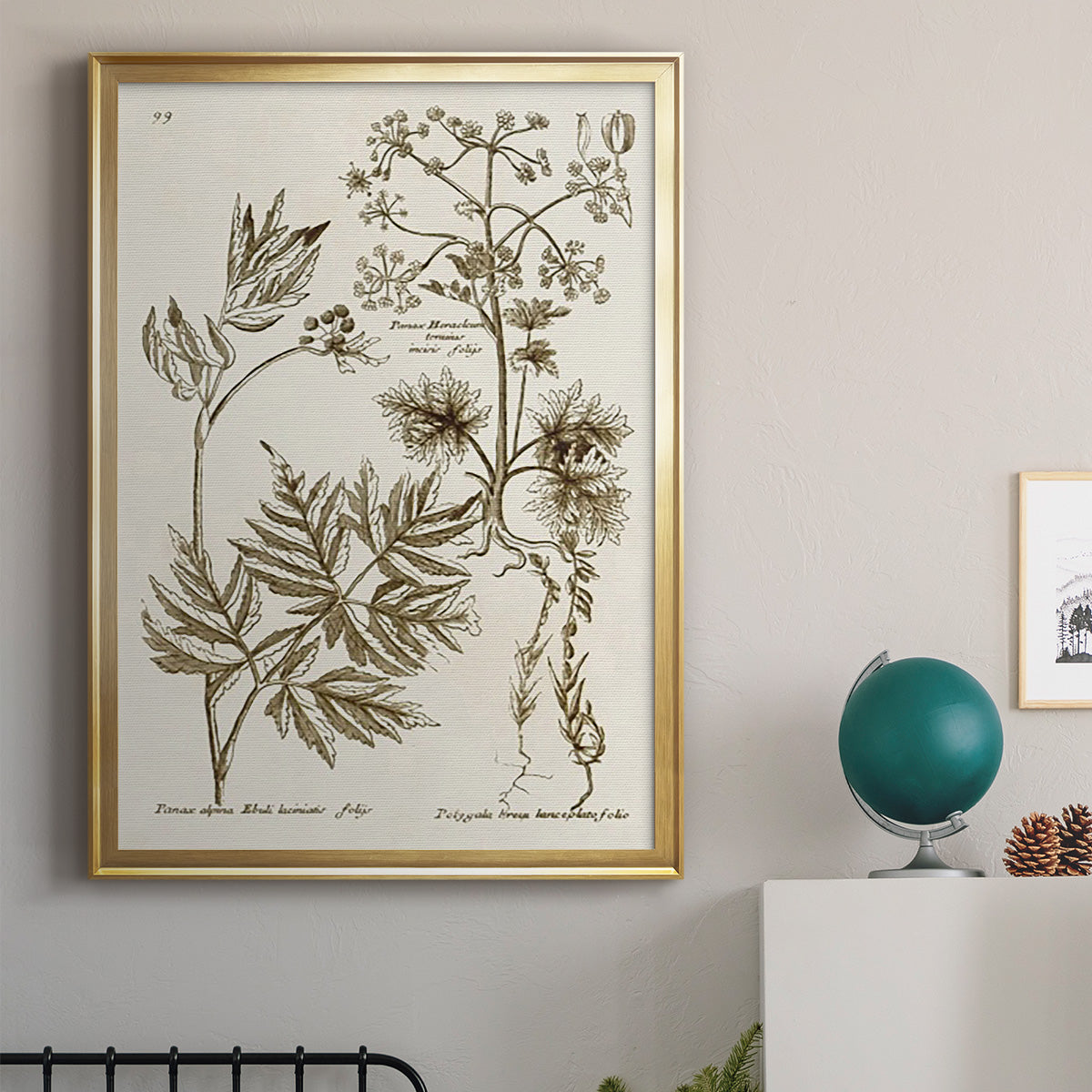 Sepia Botanical Journal III - Modern Framed Canvas Print