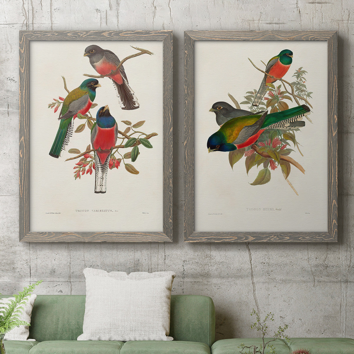 Elegant Trogons IX - Premium Framed Canvas 2 Piece Set - Ready to Hang