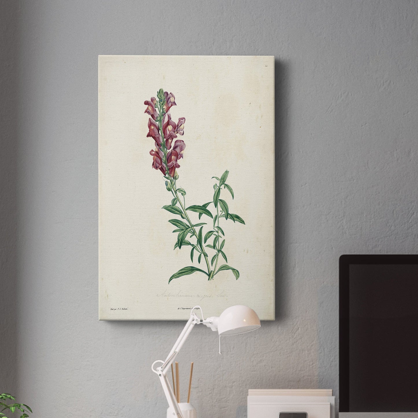 Traditional Botanical I Premium Gallery Wrapped Canvas - Ready to Hang