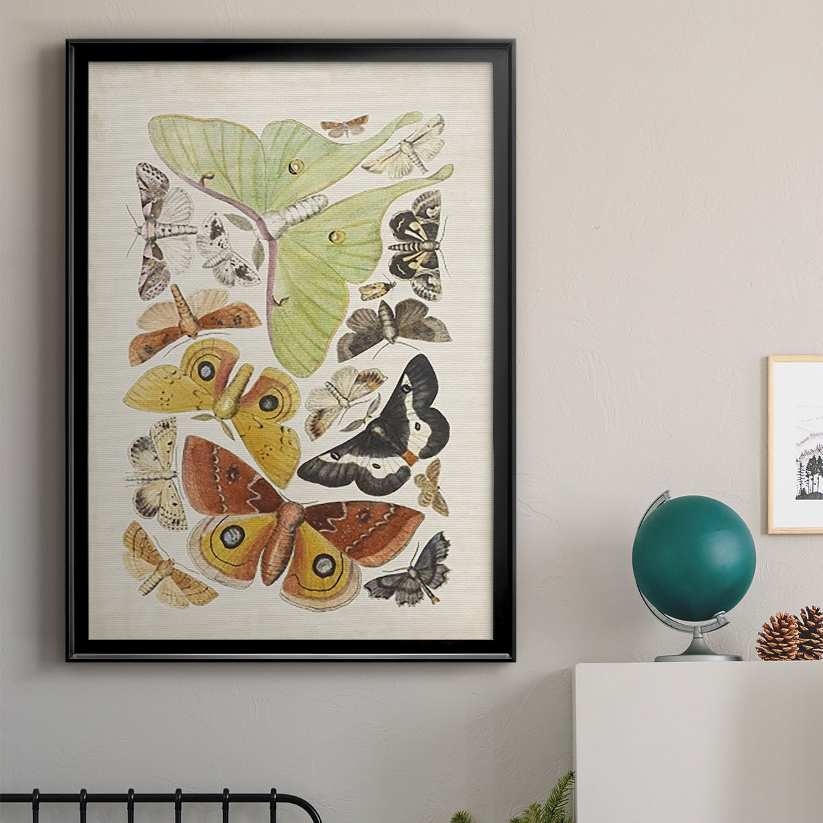 Antique Moths I - Modern Framed Canvas Print