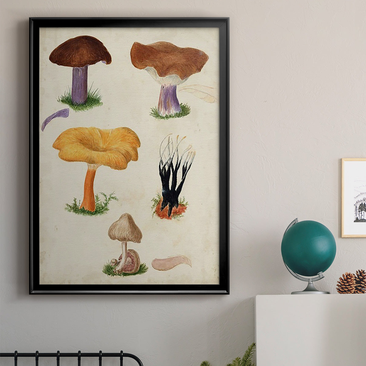 Mushroom Species VII - Modern Framed Canvas Print