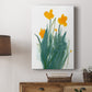 Daffodil Bunch I - Canvas Art Print