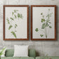 Wispy Botanical I - Premium Framed Canvas 2 Piece Set - Ready to Hang