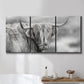Three-panel canvas wall art featuring large highland cow portrait, displayed in a bathroom above a bathtub.