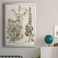 Sepia Botanical Journal IV - Modern Framed Canvas Print