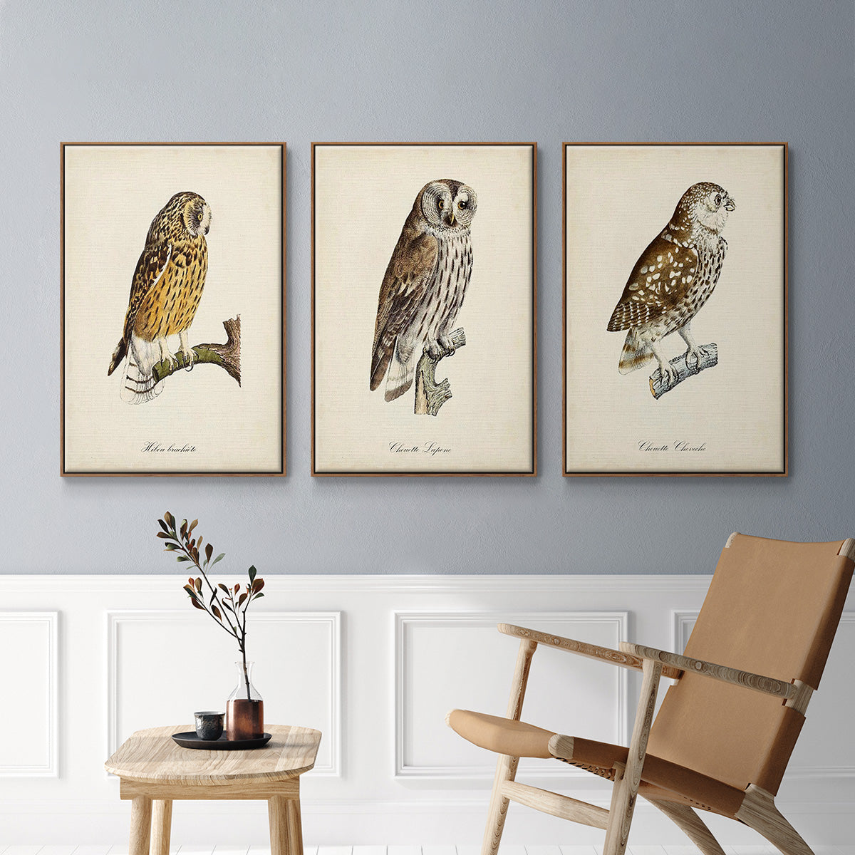 French Owls I - Framed Premium Gallery Wrapped Canvas L Frame 3 Piece Set - Ready to Hang