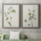 Wispy Botanical I - Premium Framed Canvas 2 Piece Set - Ready to Hang