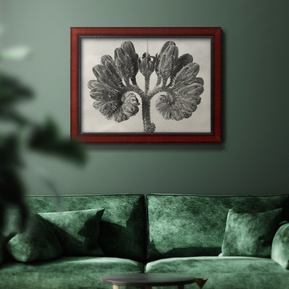 Blossfeldt Botanical VIII Premium Framed Canvas- Ready to Hang