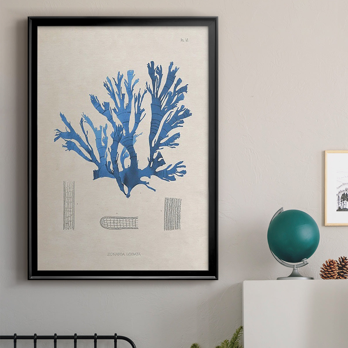 Blue Marine Algae IX -  Framed Canvas Print