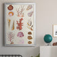 Coral & Shell Collage II -  Framed Canvas Print