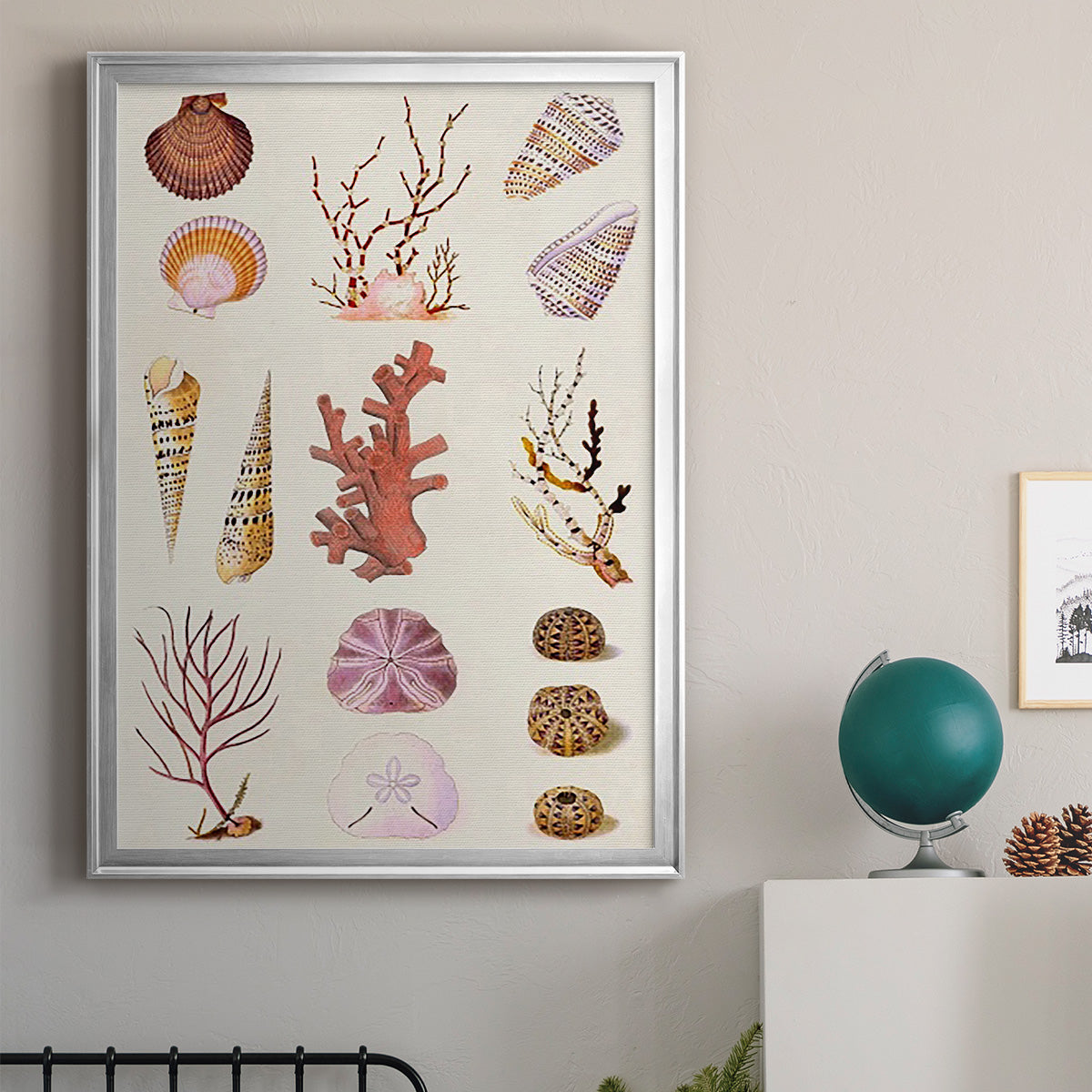 Coral & Shell Collage II -  Framed Canvas Print