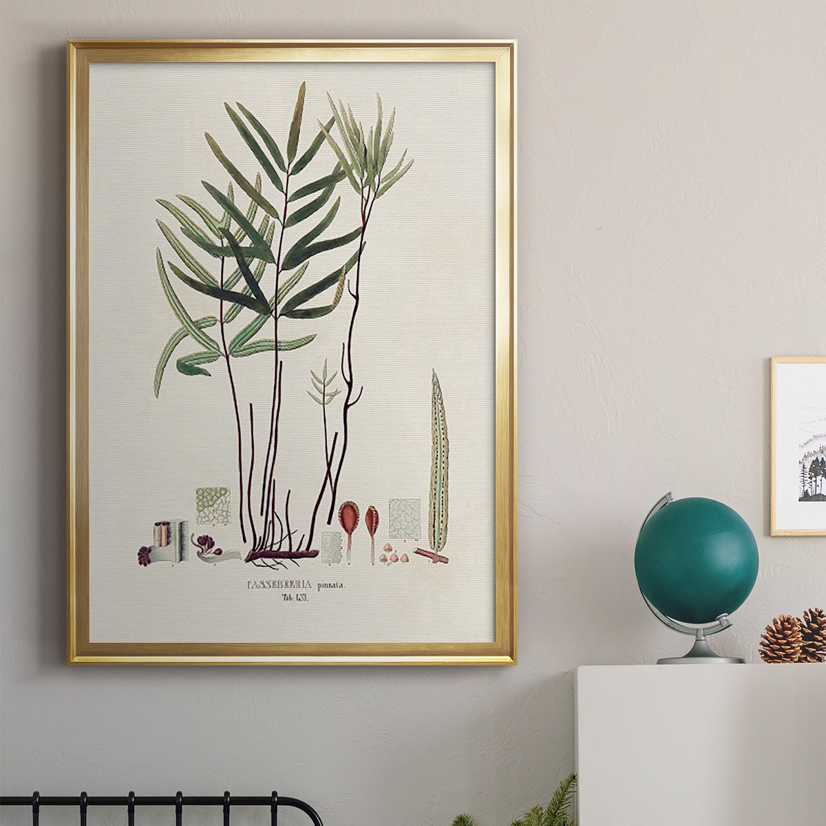 Botanical Society Ferns XI - Modern Framed Canvas Print