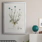 Bellflower Study - Modern Framed Canvas Print