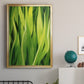 Blades of Grass II - Modern Framed Canvas Print